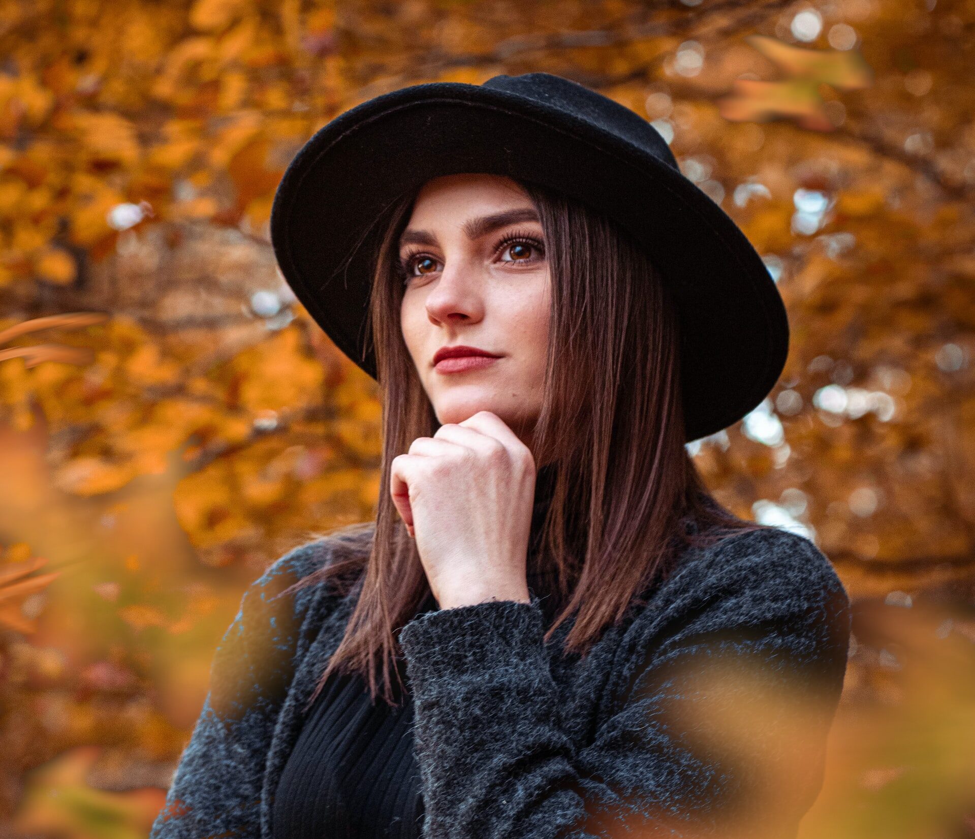 Descubrí cinco grandes perfumes de otoño